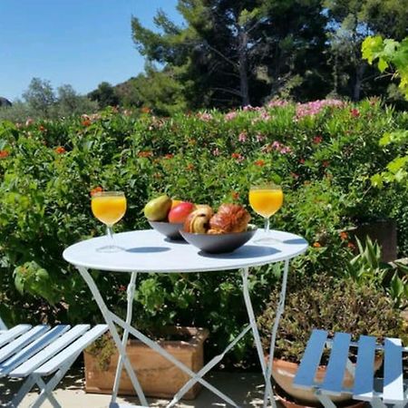 Incredible Apartment Near The Sea And Calanque 拉西约塔 外观 照片