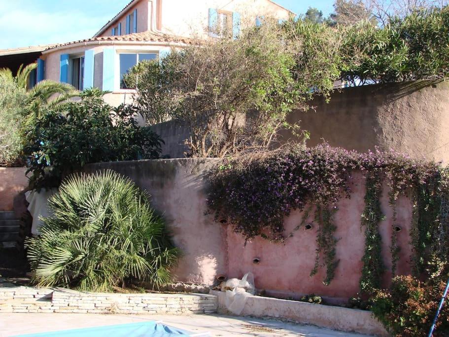 Incredible Apartment Near The Sea And Calanque 拉西约塔 外观 照片